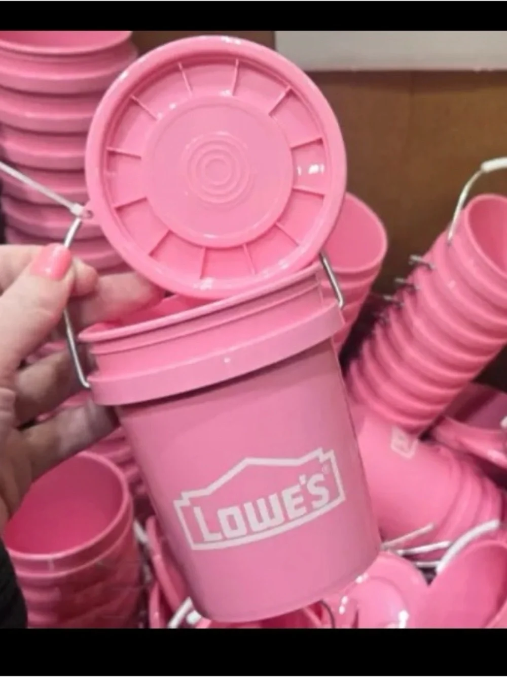 Lowe’s Viral Pink Mini Bucket with Lid and Handle
